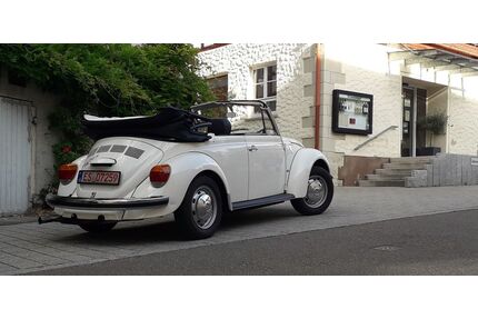 VW Käfer Gebrauchtwagen