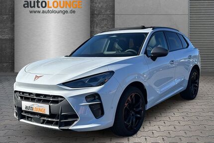 Cupra Terramar Gebrauchtwagen