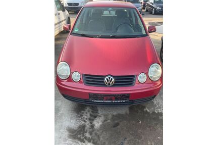 VW Polo Gebrauchtwagen