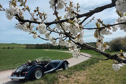 Morgan Plus 8 Gebrauchtwagen