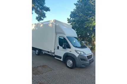 Fiat Ducato Gebrauchtwagen