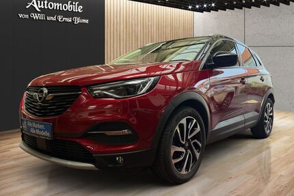 Opel Grandland (X) Gebrauchtwagen