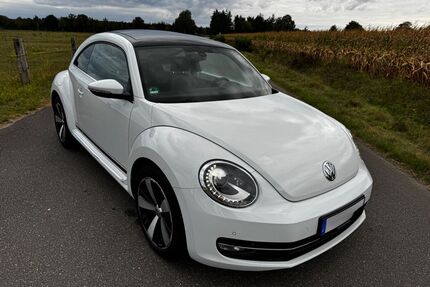 VW Beetle Gebrauchtwagen