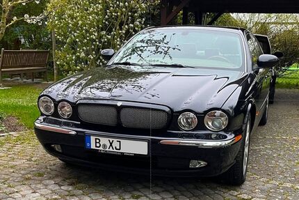 Jaguar XJ8 Gebrauchtwagen