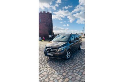 Mercedes-Benz V 250 Gebrauchtwagen