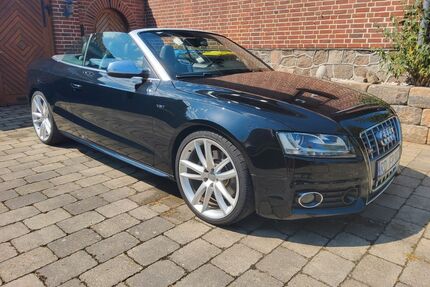 Audi S5 Gebrauchtwagen