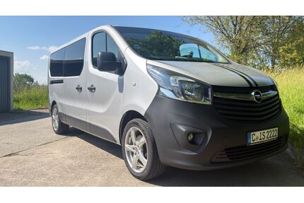 Opel Vivaro Gebrauchtwagen