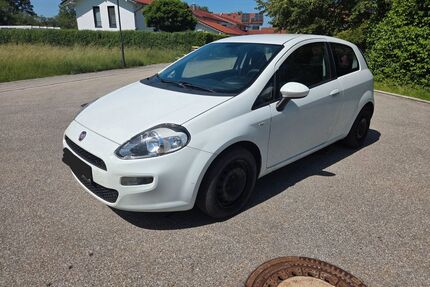 Fiat Punto Gebrauchtwagen