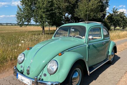 VW Käfer Gebrauchtwagen
