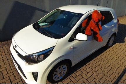 Kia Picanto Gebrauchtwagen