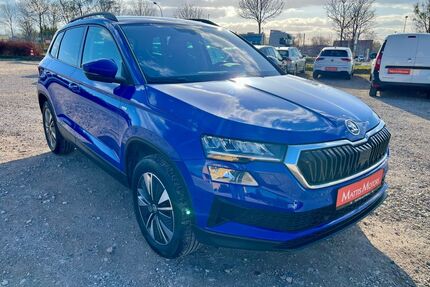 Skoda Karoq Gebrauchtwagen