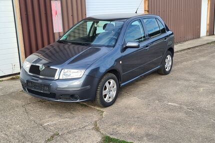 Skoda Fabia Gebrauchtwagen