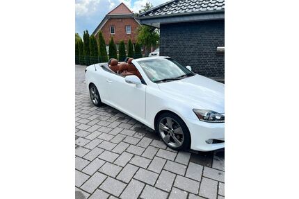 Lexus IS 250 Gebrauchtwagen