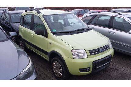 Fiat Panda Gebrauchtwagen