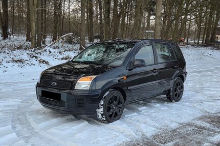 Ford Fusion Gebrauchtwagen