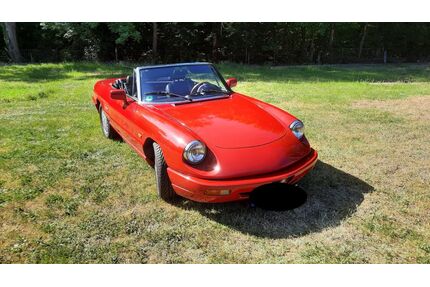 Alfa Romeo Spider Gebrauchtwagen