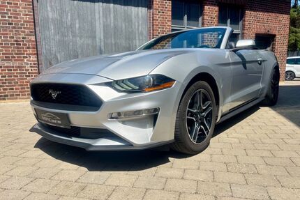 Ford Mustang Gebrauchtwagen