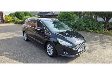Ford S-Max Gebrauchtwagen