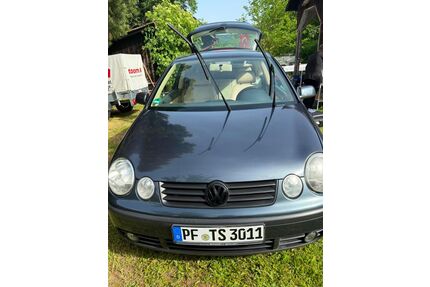 VW Polo Gebrauchtwagen