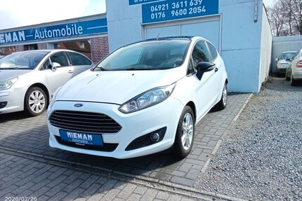 Ford Fiesta Gebrauchtwagen