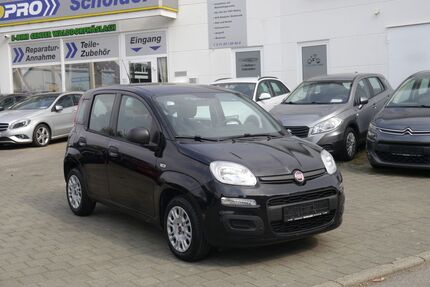 Fiat Panda Gebrauchtwagen