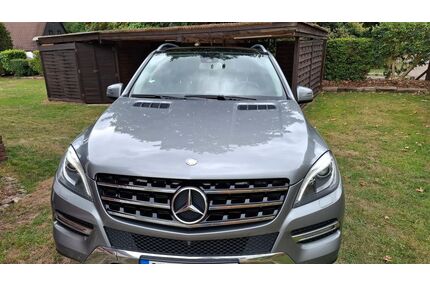 Mercedes-Benz ML 350 Gebrauchtwagen