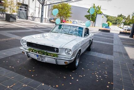 Ford Mustang Gebrauchtwagen