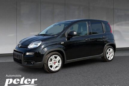 Fiat Panda Gebrauchtwagen