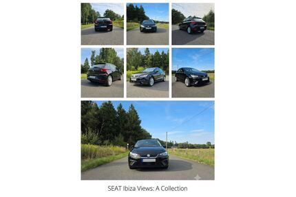 Seat Ibiza Gebrauchtwagen