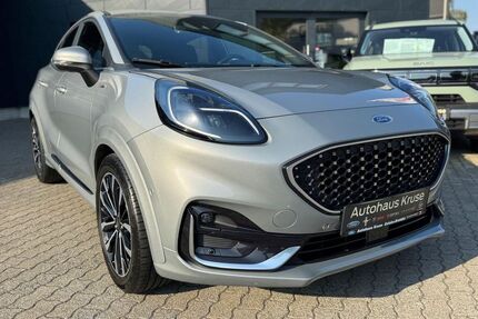 Ford Puma Gebrauchtwagen