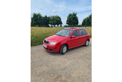 Skoda Fabia Gebrauchtwagen