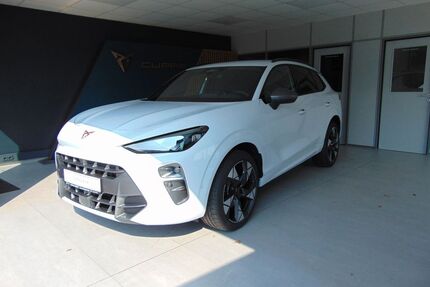 Cupra Terramar Gebrauchtwagen