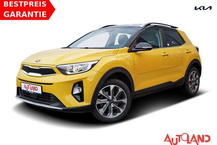 Kia Stonic Gebrauchtwagen