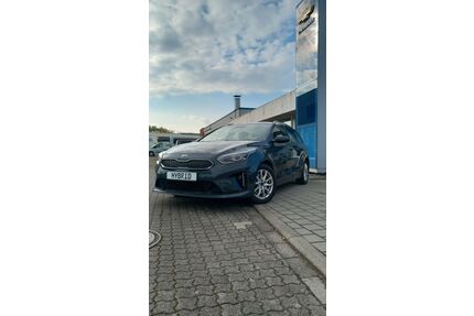 Kia ceed / Ceed Gebrauchtwagen