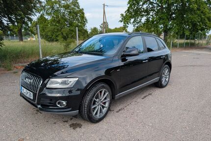 Audi Q5 Gebrauchtwagen