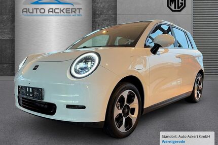 JAC Andere Gebrauchtwagen