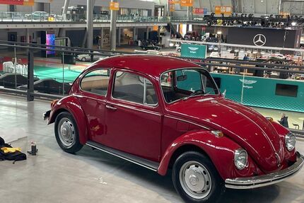 VW Käfer Gebrauchtwagen