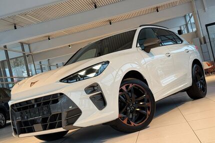 Cupra Terramar Gebrauchtwagen