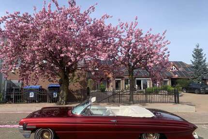 Oldsmobile Dynamic 88 Gebrauchtwagen