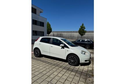 Fiat Punto Gebrauchtwagen