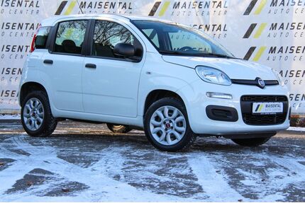 Fiat Panda Gebrauchtwagen