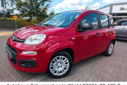 Fiat Panda Gebrauchtwagen