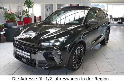 Cupra Terramar Gebrauchtwagen