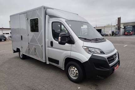 Fiat Ducato Gebrauchtwagen