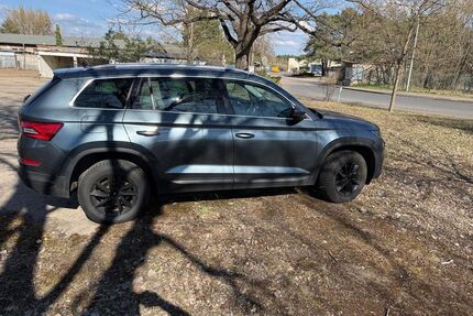 Skoda Kodiaq Gebrauchtwagen