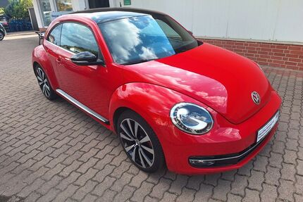 VW Beetle Gebrauchtwagen