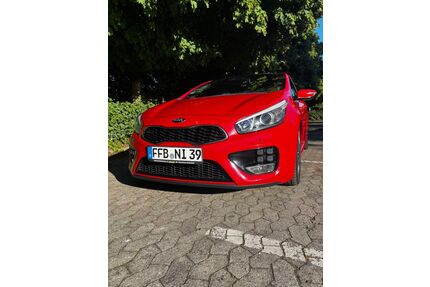 Kia pro ceed / ProCeed Gebrauchtwagen