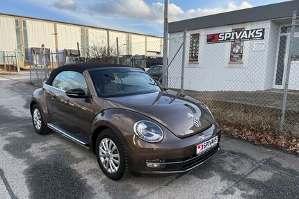 VW Beetle Gebrauchtwagen
