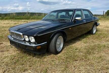 Jaguar XJ40 Gebrauchtwagen