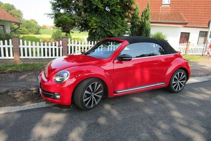 VW Beetle Gebrauchtwagen